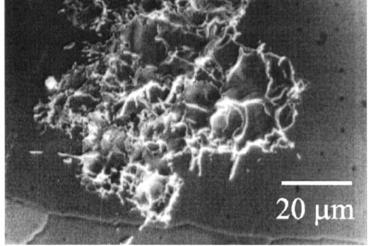 Description: Description: Description: Description: Description: Description: Description: Description: Image result for cathode spot arc plasma images