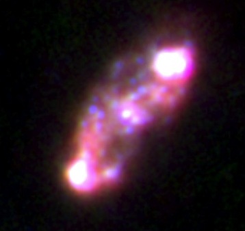 NGC 2976