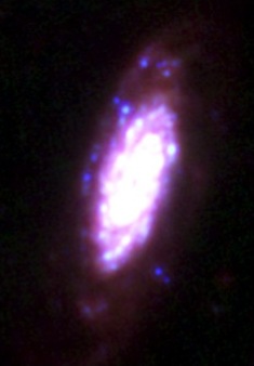 NGC 3521