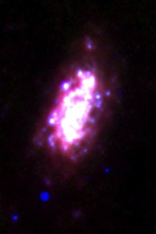 NGC 3621