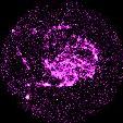 M101
