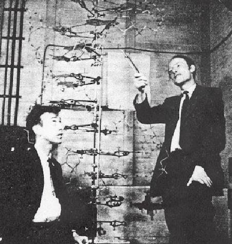 Crick & Watson