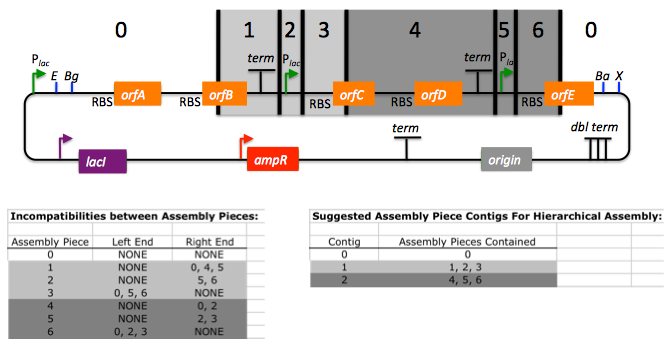 Brief Survery 6