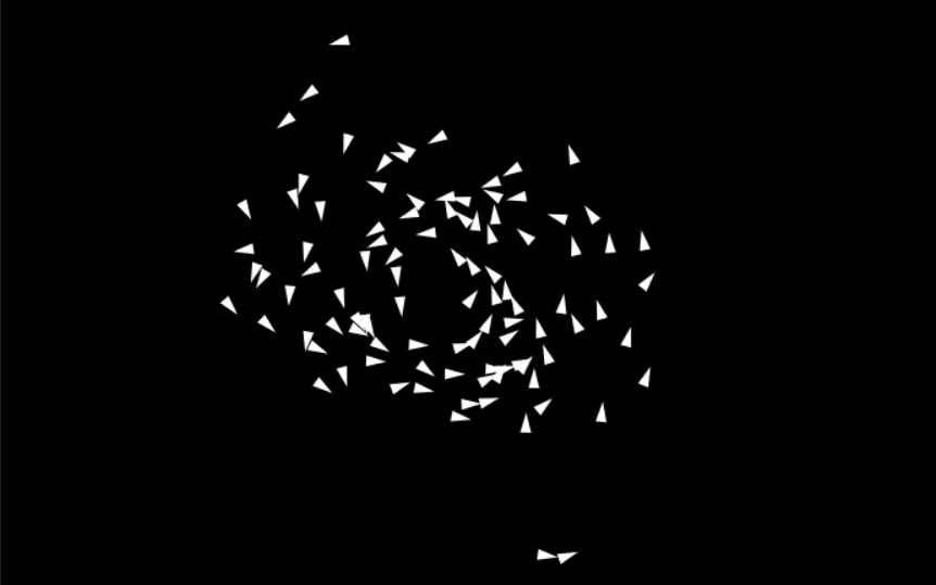 collective behaviour