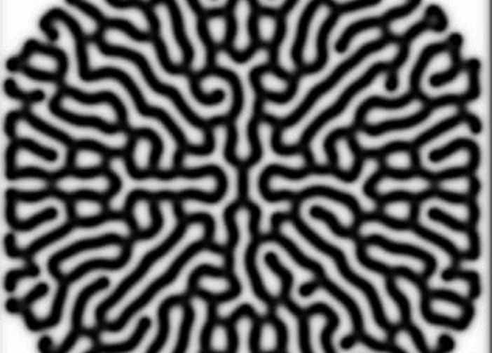 reaction diffusion