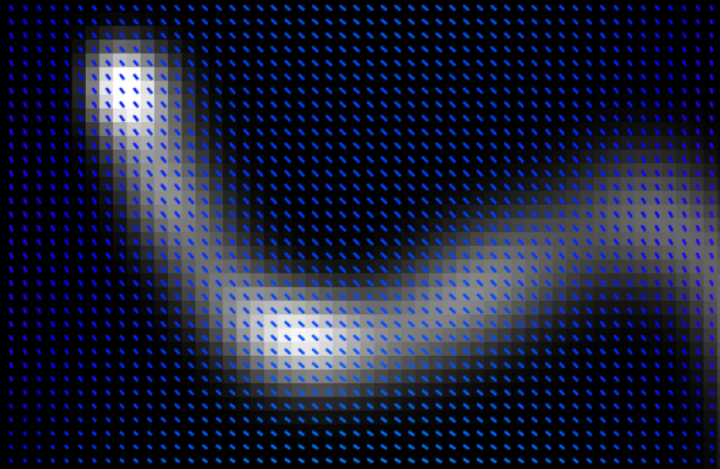 simple fluid