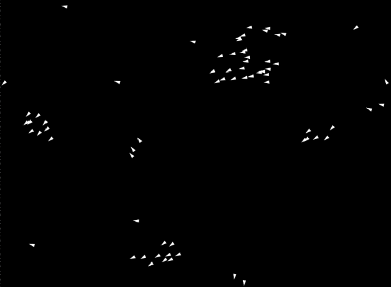 Vicsek Model